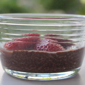 Keto Chocolate Chia Seed Pudding Recipe Vegan Option