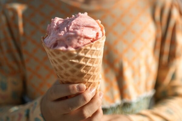 Free Summer Activities for Kids