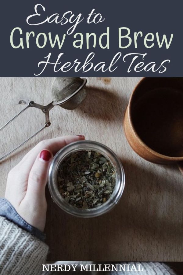 Easy to Grow and Brew Herbal Teas - Growing, drying and preparing your own tea blends with herbs and fruits grown from your very own garden is one of the most rewarding experiences in life. Tea calms, it relaxes, it heals and it refreshes. Whether you take it hot in a cup or cold in a glass, preparing it to suit your fancy is what it is all about.