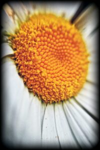 4 BEST ANDROID PHOTO EDITING APPS OF 2016