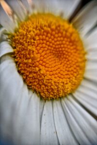 Android Photo Editing Apps