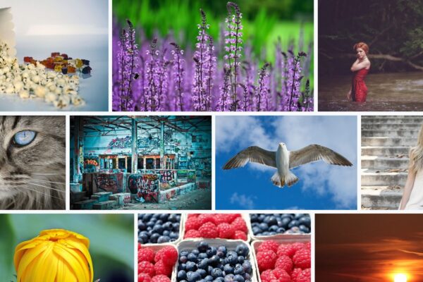 Free Images for your blog