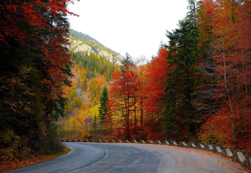 fall foliage fall bucket list for couples