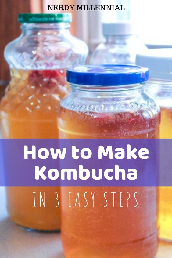 how to make your own kombucha tea in 3 easy steps