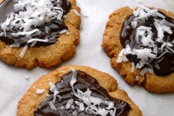 Chocolate Coconut Almond Cookies – Gluten Free and Dairy Free