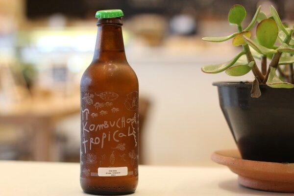 How To Make Kombucha