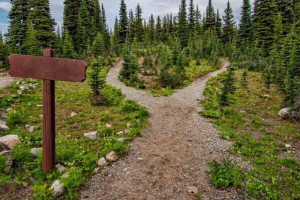 Just How On Earth Are You Supposed To Choose Your Life Direction?