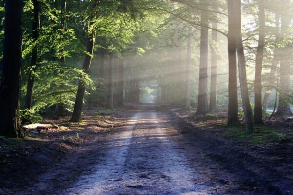 10 Signs That You're Entering the Fifth Dimension