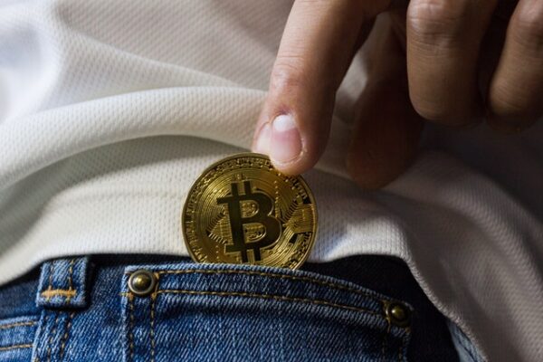 How Should Novices Learn About Cryptocurrencies?