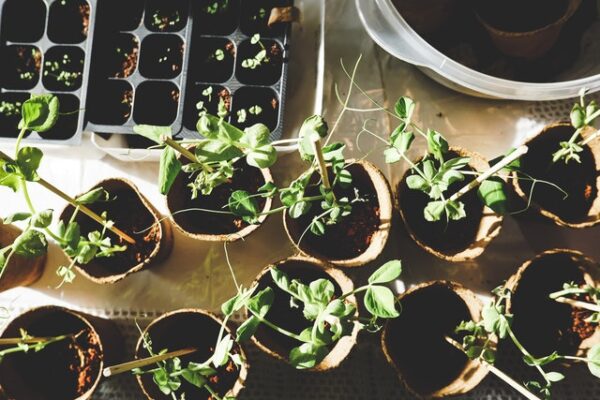 How To Live A Little More Environmentally-Consciously
