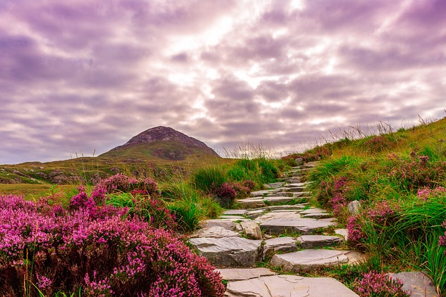 how to enter the fifth dimension a guide to spiritual awakening