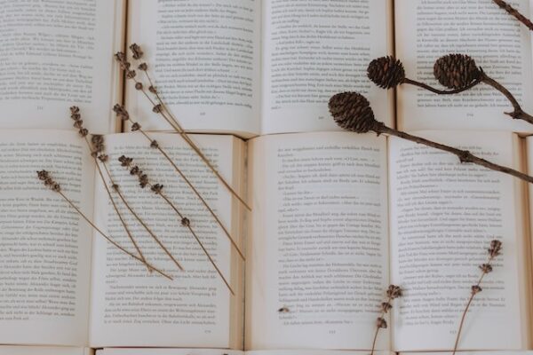 How To Get Started Writing Your First Book 7 Tips To Get You Going