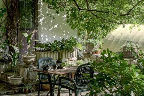A Handy Guide to Enhancing Your Home's Exterior with Custom Features