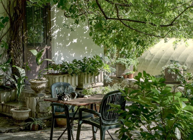 A Handy Guide to Enhancing Your Home's Exterior with Custom Features